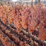 Tenuta Roletto - Passito