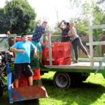 Azienda Agricola Le Masche - Vendemmia