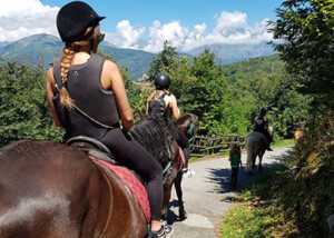 Sport in Canavese