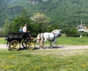 ENJOYCANAVESE - IN CARROZZA A CAVALLO NELL’ANFITEATRO MORENICO DEL CANAVESE