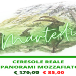 PRONTO TOURS - CERESOLE REALE: PANORAMI MOZZAFIATO