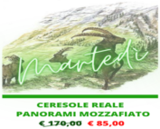 PRONTO TOURS - CERESOLE REALE: PANORAMI MOZZAFIATO