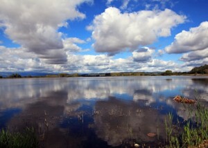 L'Oasi naturalistica del Lago di Candia