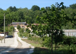 Agriturismo La Bedina