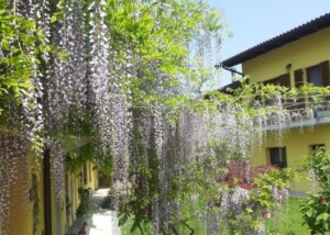 Agriturismo Tra Serra e lago