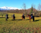 ENJOYCANAVESE - A CAVALLO NEL VERDE DELLA MORENA OVEST