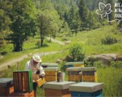 WILD WINE TOURS - SLOW TOUR CANAVESE