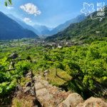 WILD WINE TOURS - 'NDUMAROUND