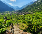 WILD WINE TOURS - 'NDUMAROUND