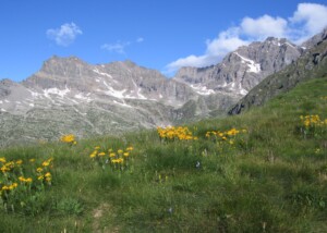GPO_Sulla strada reale 2