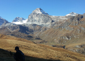 image_1-1-1280x600-c-default