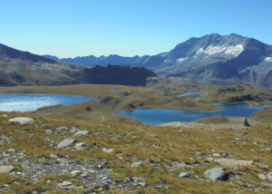 image_3-1280x600-c-default