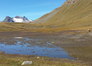 parcours_classique_etape_d1_2-1280x600-c-default