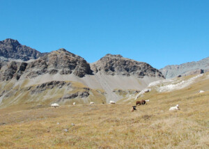 parcours_classique_etape_d6-1280x600-c-default