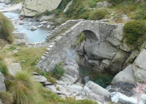 received_1949358101938165