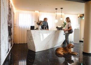 L1020752-1 - ridotta