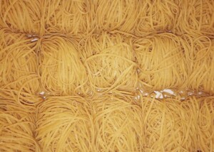 74522933_3353842331310245_2174520888035115008_n